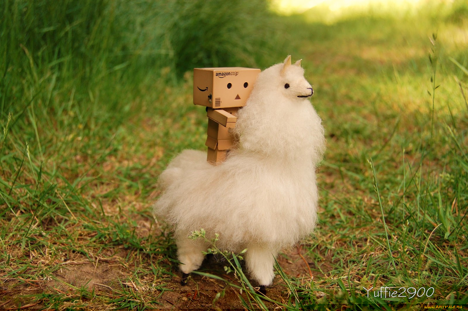 , , danboard